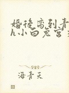 婚后脔到青梅哭h小白兔宫交h