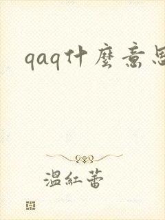 《qaq什么意思》小说封面