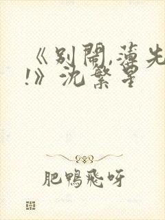 《别闹,薄先生!》沈繁星