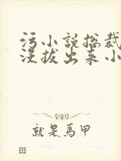 污小说总裁整夜没拔出来小说在线阅读