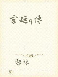 宫廷q传