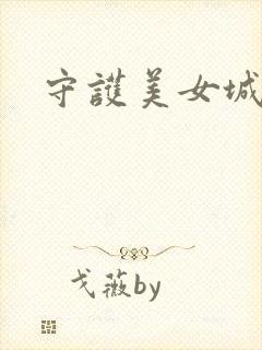 守护美女城封面