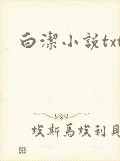 白洁小说txt