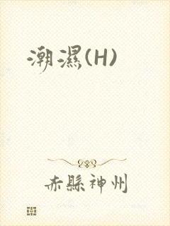 潮湿(H)