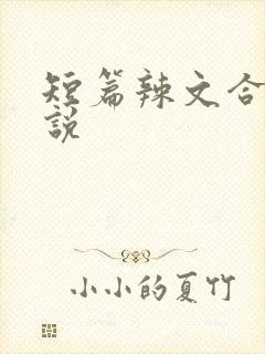 短篇辣文合集小说