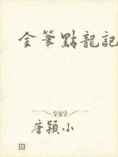 金笔点龙记