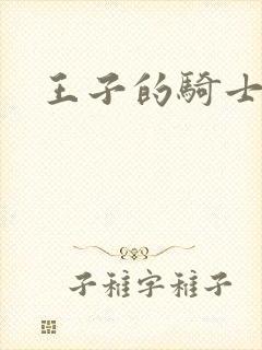 王子的骑士小说