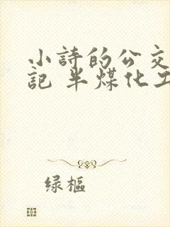 小诗的公交车日记 半煤化工