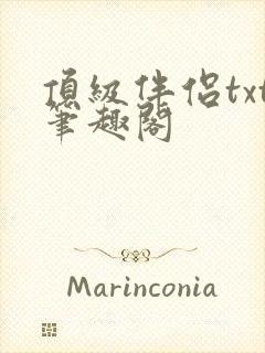 顶级伴侣txt笔趣阁