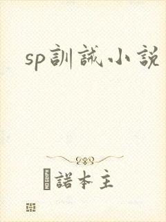 sp训诫小说