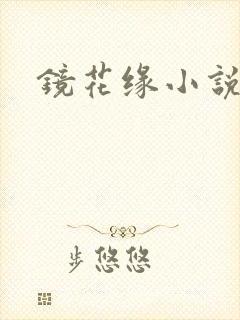 镜花缘小说