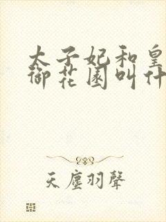 太子妃和皇帝在御花园叫什么小说