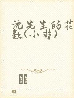 沈先生的花式调数(小非)