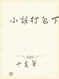 小说打包下载