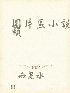 图片区小说区视频