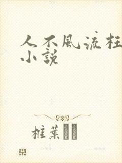 人不风流枉少年小说