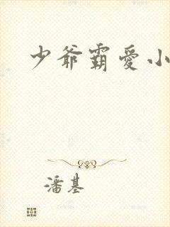 少爷霸爱小丫头