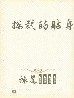 总裁的贴身女佣