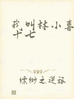 我叫林小喜今年十七