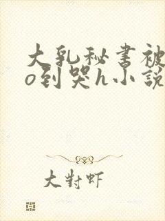 大乳秘书被cao到哭h小说