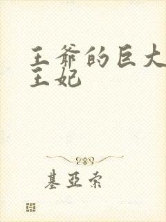 王爷的巨大进入王妃