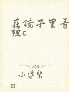 在镜子里看自己被c