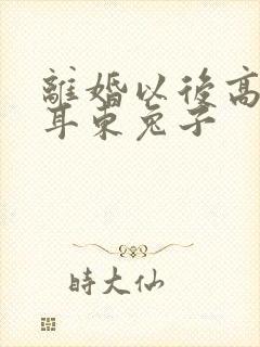 离婚以后高干 耳东兔子