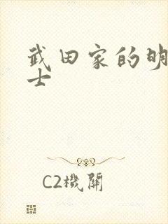 武田家的明国武士