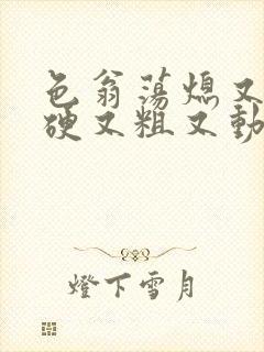 色翁荡熄又大又硬又粗又动态图