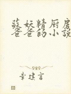 苏妖精厨房爹爹爸爸的小说