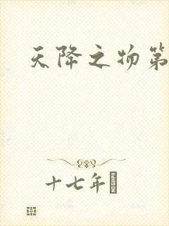 天降之物第一季