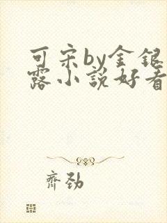 可宋by金银花露小说好看吗