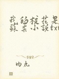 我的校花是福姬苏柔小说txt