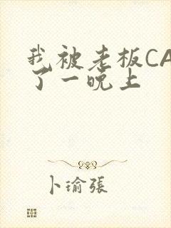 我被老板CAO了一晚上