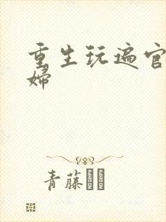 重生玩遍官场贵妇