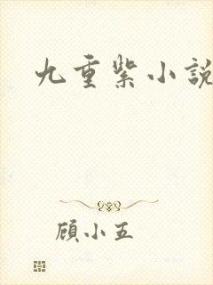 九重紫小说