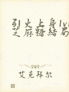 引火上身1v1芝麻糖结局封面