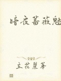 暗夜蔷薇魅