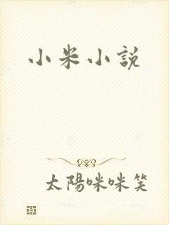小米小说