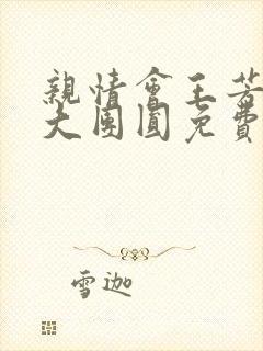 亲情会王芳高敏大团圆免费阅读