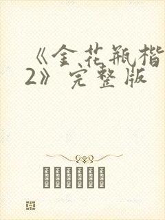 《金花瓶楷梅花2》完整版