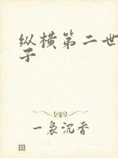 纵横第二世界宽子