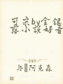 可宋by金银花露小说好看吗
