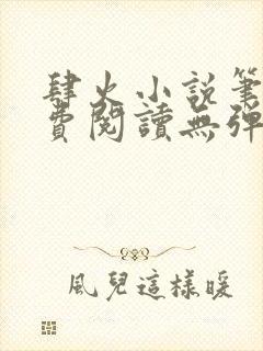 肆火小说笔趣免费阅读无弹窗