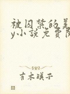 被囚禁的美人by小说免费阅读