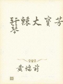 轩辕大宝芳菲雅琴封面