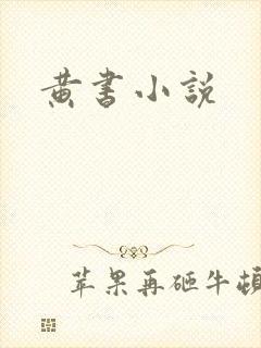 黄书小说