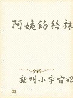 阿姨的丝袜小说