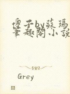 傻子by苏玛丽笔趣阁小说