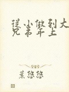 从小做到大骨科兄弟年上